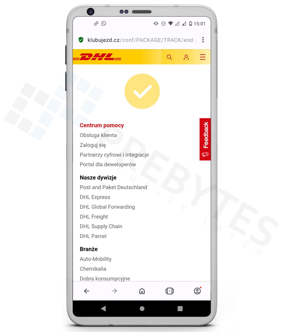 DHL_fake_Strona6.jpg