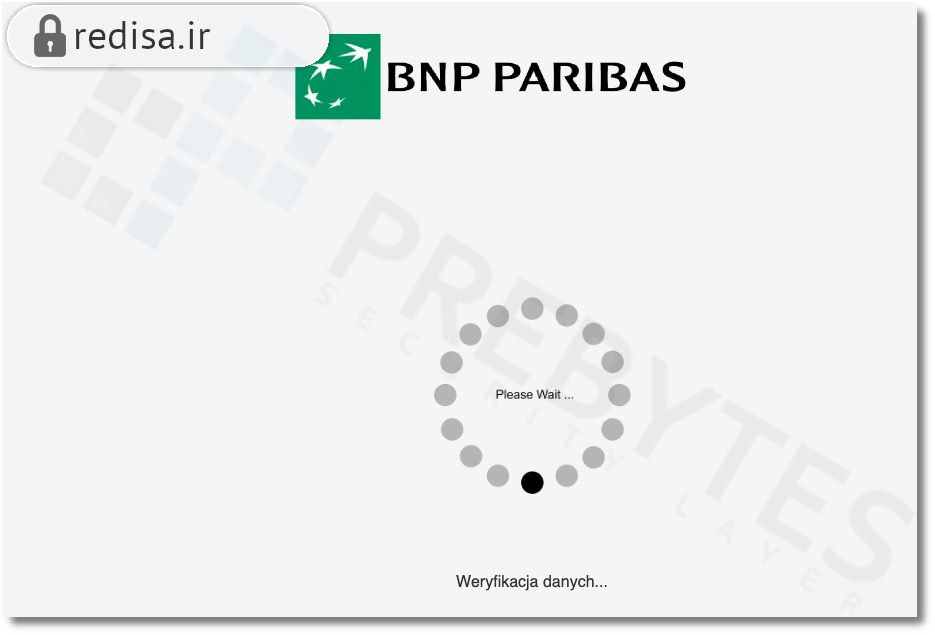 bnp_5.png