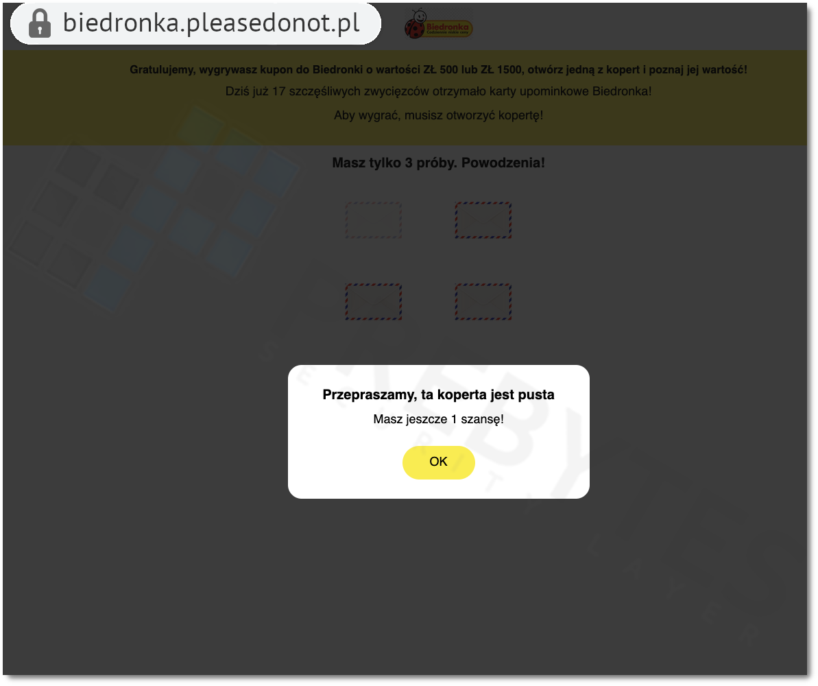 biedronka2.png