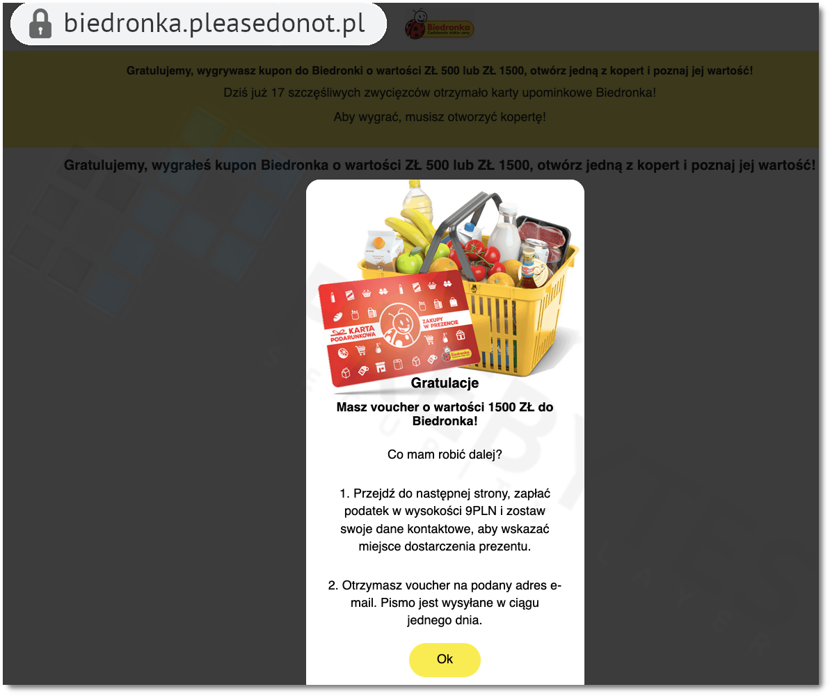 biedronka3.png
