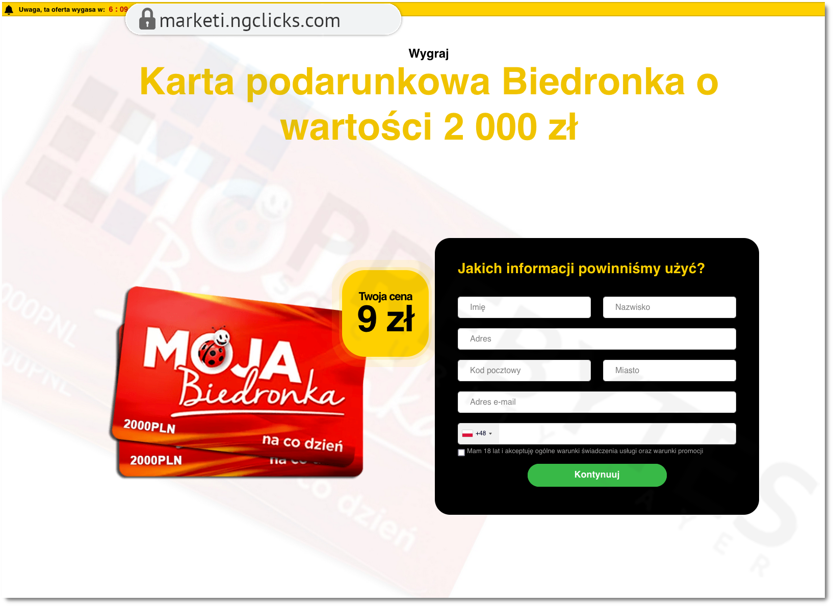 biedronka4.png
